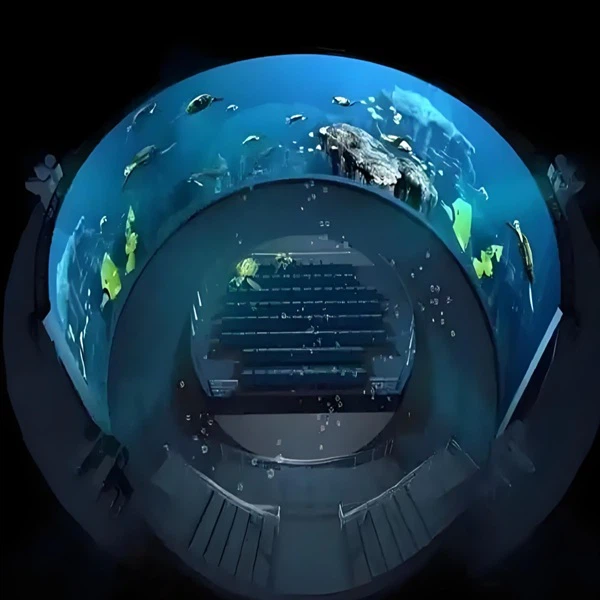 product-600-600 product-600-600